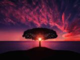 Amazing Sunset