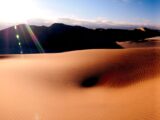 The Desert